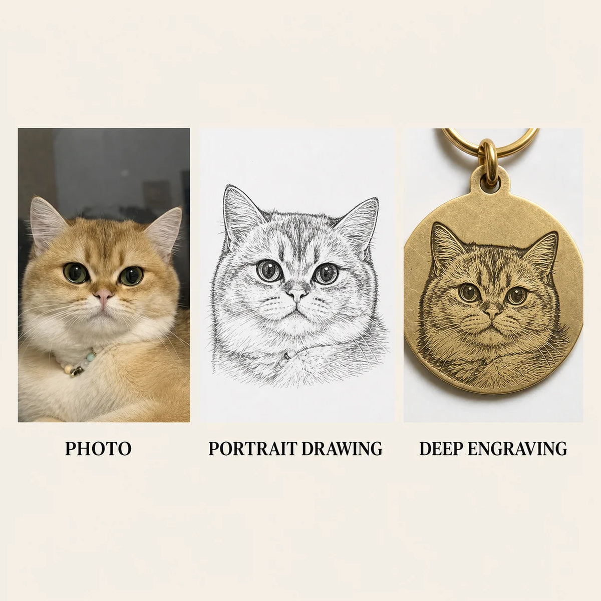 Example process: pet photo, portrait drawing, and engraved brass pet tag