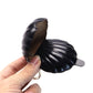 One-Piece Sculpting Hand-Sculped Mini Shell