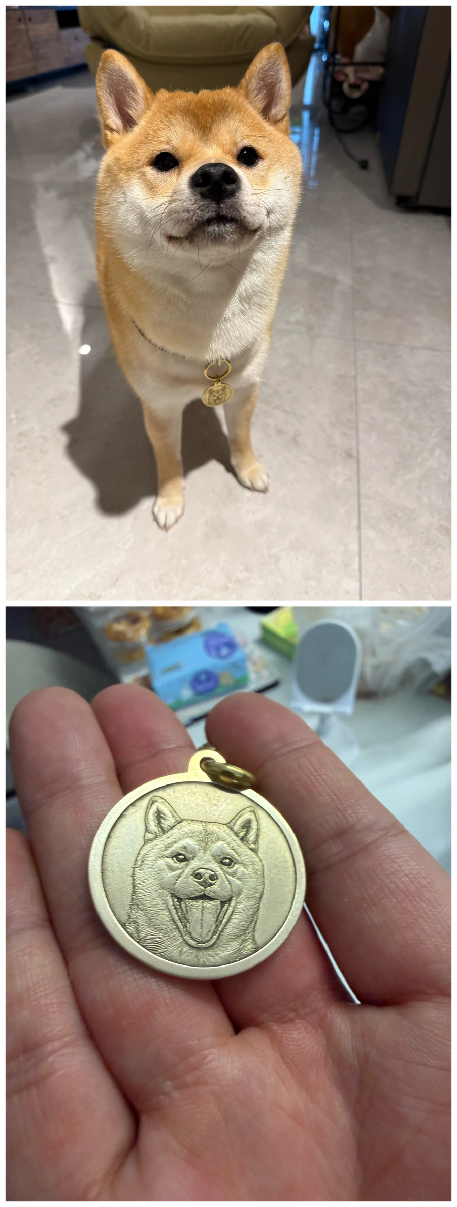 Customer dog wearing a brass tag, paired with a close-up of the finished portrait tag