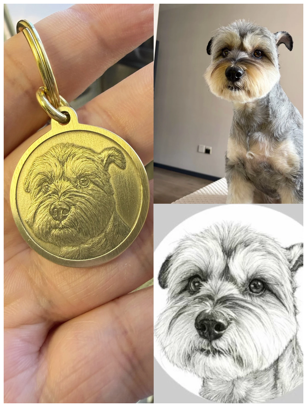 A customer's pet photo, portrait sketch and finished brass pet tag shown together